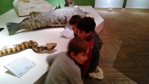 IMG_20141118_154016
