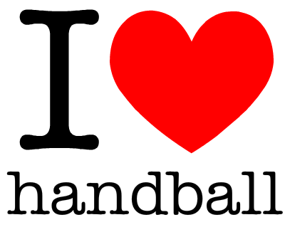 Tournoi de Handball 2015 pour l'école Saint Aldric