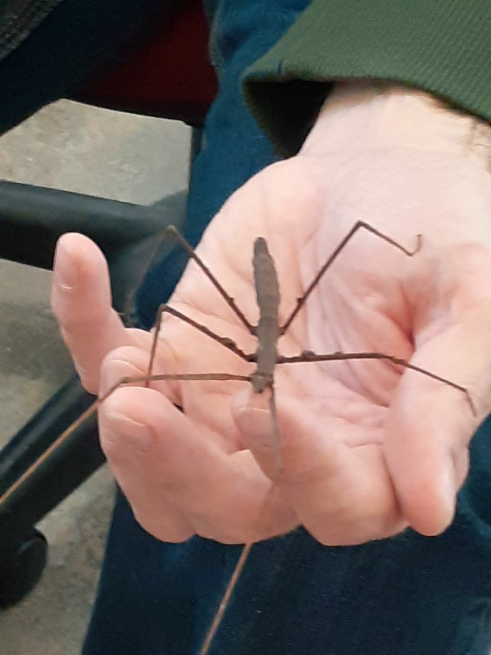 Sortie au musée pour les élèves de moyenne section.