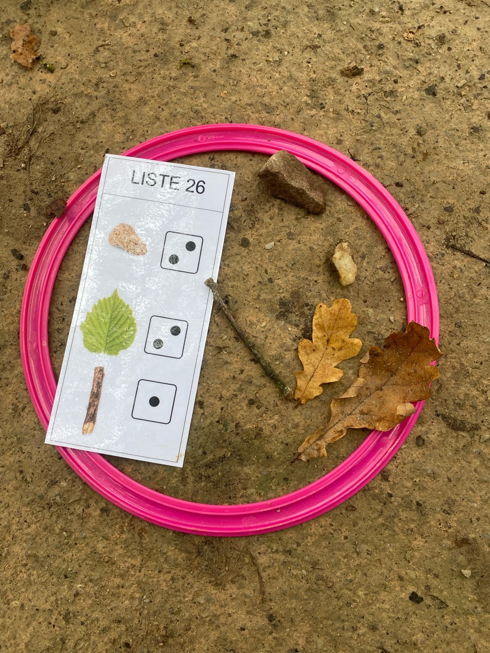 Apprentissage en extérieur !