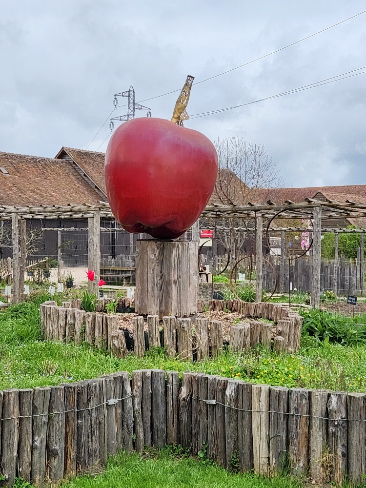 A la découverte du jardinage.